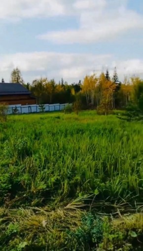 ДП Родной в Заречном - zarechnyj.yutvil.ru - фото 1