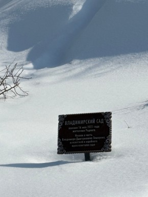 ДП Родной в Заречном - zarechnyj.yutvil.ru - фото 11