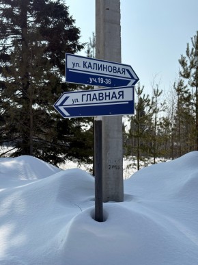 ДП Родной в Заречном - zarechnyj.yutvil.ru - фото 6