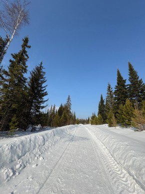 ДП Родной в Заречном - zarechnyj.yutvil.ru - фото 7