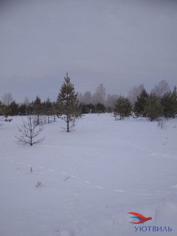 Земельный участок поселок Баженово в Заречном - zarechnyj.yutvil.ru - фото 5