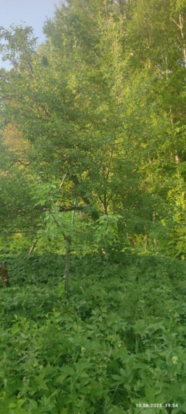 г Верхняя пышма, СНТ Мираж, уч.№ 99 в Заречном - zarechnyj.yutvil.ru - фото 10