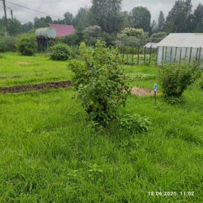 г Верхняя пышма, СНТ Мираж, уч.№ 99 в Заречном - zarechnyj.yutvil.ru - фото 11