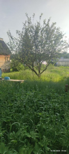 г Верхняя пышма, СНТ Мираж, уч.№ 99 в Заречном - zarechnyj.yutvil.ru - фото 19