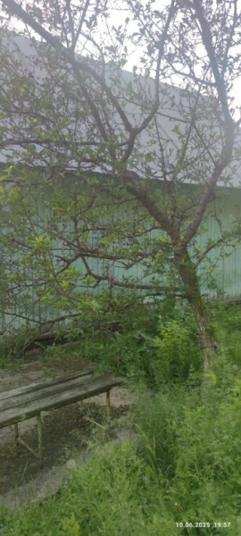 г Верхняя пышма, СНТ Мираж, уч.№ 99 в Заречном - zarechnyj.yutvil.ru - фото 26