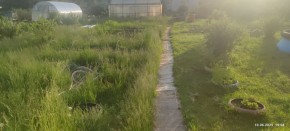 г Верхняя пышма, СНТ Мираж, уч.№ 99 в Заречном - zarechnyj.yutvil.ru - фото 2