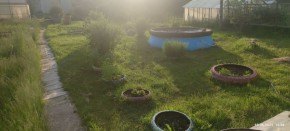 г Верхняя пышма, СНТ Мираж, уч.№ 99 в Заречном - zarechnyj.yutvil.ru - фото 5