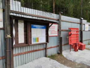 г.Верхняя Пышма СНТ №5 Березки в кв. 22 Среднеуральского Уралмашевского лесхоза в Заречном - zarechnyj.yutvil.ru - фото 18