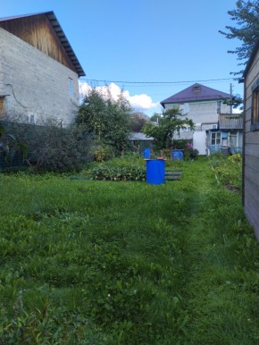 Коллективный сад номер 7, участок 58 в Заречном - zarechnyj.yutvil.ru - фото 26 Коллективный сад номер 7, участок 58 в Заречном - zarechnyj.yutvil.ru - фото 26