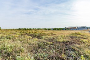 Российская Федерация, Свердловская область, Сысертский городской округ, территория садоводческого некоммерческого товарищества Бобровские дачи, улица Каштановая, земельный участок № 38 в Заречном - zarechnyj.yutvil.ru - фото 24