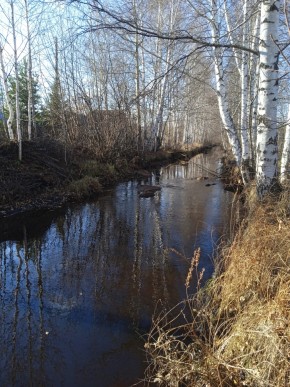 СНТ Берёзка в Заречном - zarechnyj.yutvil.ru - фото 14