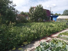 СНТ Медик-2 в Заречном - zarechnyj.yutvil.ru - фото 6
