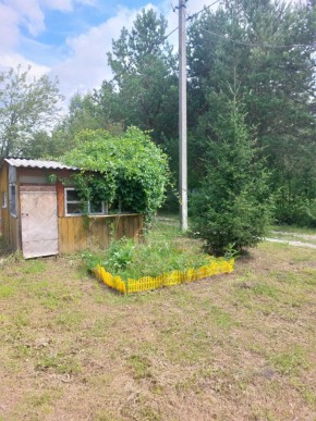 СНТ Родники в Заречном - zarechnyj.yutvil.ru - фото 2