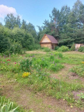 СНТ Родники в Заречном - zarechnyj.yutvil.ru - фото 3