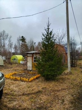 СНТ Родники в Заречном - zarechnyj.yutvil.ru - фото 5