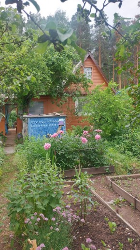 Екатеринбург, СНТ Садовод-24 в Заречном - zarechnyj.yutvil.ru