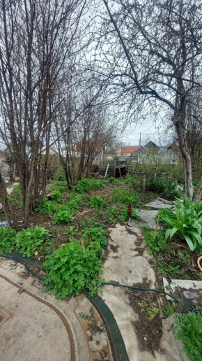 СНТ Сирень, уч. 38 в Заречном - zarechnyj.yutvil.ru - фото 7