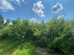 СПК Юбилейный, уч. 9 в Заречном - zarechnyj.yutvil.ru - фото 9