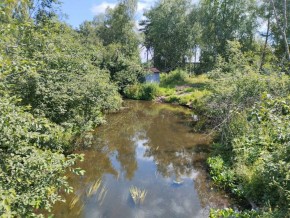 СТ Маяк участок 32 в Заречном - zarechnyj.yutvil.ru - фото 13