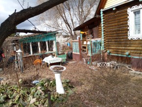 Свердловская обл., Белоярский р-н, у п. Хризолитовый, снт 50 лет Победы в Заречном - zarechnyj.yutvil.ru - фото 2