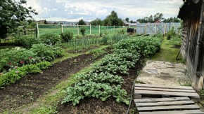 ул. 8-е Марта,46 в Заречном - zarechnyj.yutvil.ru - фото 5