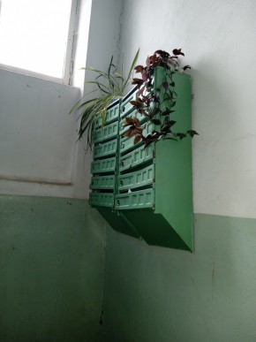 ул. Бажова,11 в Заречном - zarechnyj.yutvil.ru - фото 3