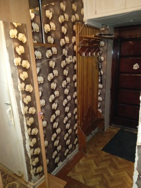 ул. Бажова,11 в Заречном - zarechnyj.yutvil.ru - фото 9