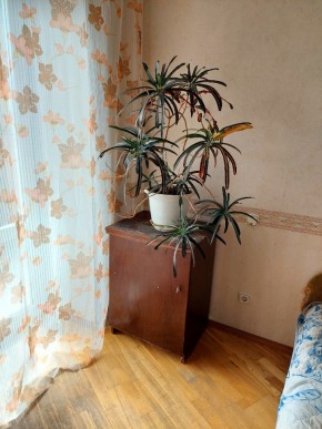 ул. Индустрии,29 в Заречном - zarechnyj.yutvil.ru - фото 4