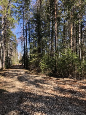 ул. Калиновая,9 в Заречном - zarechnyj.yutvil.ru - фото 2 ул. Калиновая,9 в Заречном - zarechnyj.yutvil.ru - фото 2