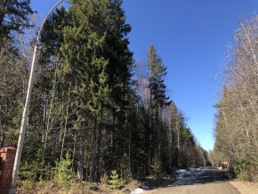 ул. Калиновая,9 в Заречном - zarechnyj.yutvil.ru - фото 4 ул. Калиновая,9 в Заречном - zarechnyj.yutvil.ru - фото 4