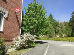 ул. Сосновая, 8 в Заречном - zarechnyj.yutvil.ru - фото 25 ул. Сосновая, 8 в Заречном - zarechnyj.yutvil.ru - фото 25