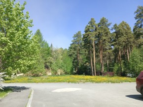 ул. Сосновая, 8 в Заречном - zarechnyj.yutvil.ru - фото 26 ул. Сосновая, 8 в Заречном - zarechnyj.yutvil.ru - фото 26