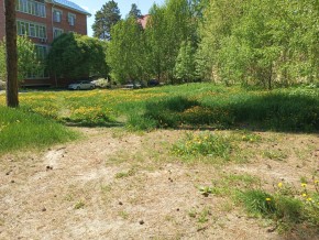 ул. Сосновая, 8 в Заречном - zarechnyj.yutvil.ru - фото 33 ул. Сосновая, 8 в Заречном - zarechnyj.yutvil.ru - фото 33
