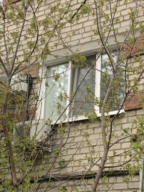 ул. Таганская,8 в Заречном - zarechnyj.yutvil.ru - фото 14 ул. Таганская,8 в Заречном - zarechnyj.yutvil.ru - фото 14
