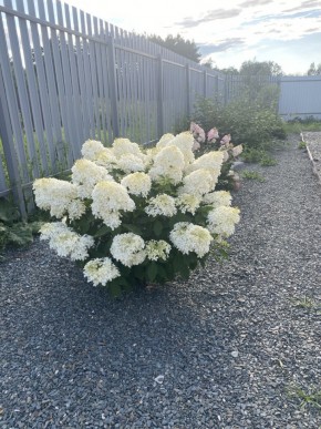 ул. Весенняя,12 в Заречном - zarechnyj.yutvil.ru - фото 20