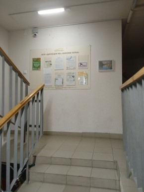 ул. Высокая,7 в Заречном - zarechnyj.yutvil.ru - фото 9 ул. Высокая,7 в Заречном - zarechnyj.yutvil.ru - фото 9